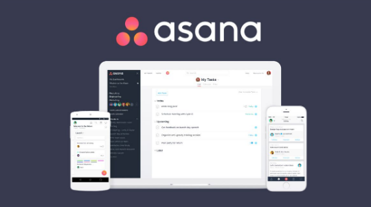 Asana tạo ra một môi trường làm việc chuyên nghiệp