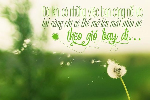 Hãy để muộn phiền cho gió bay đi