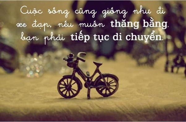 Những câu châm ngôn hay về cuộc sống