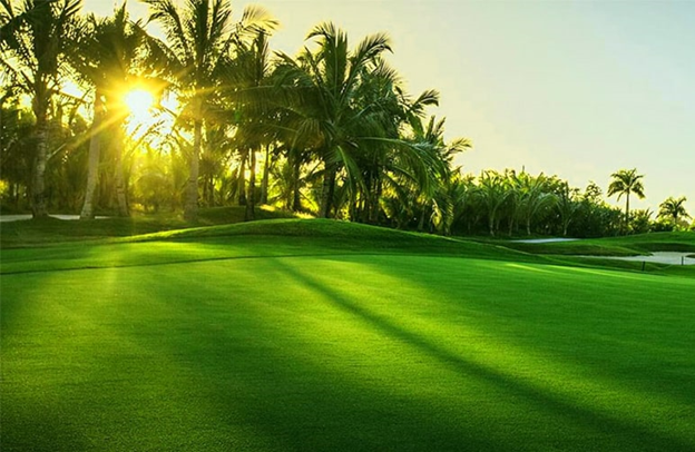 thư giãn cùng cư dân Aqua City