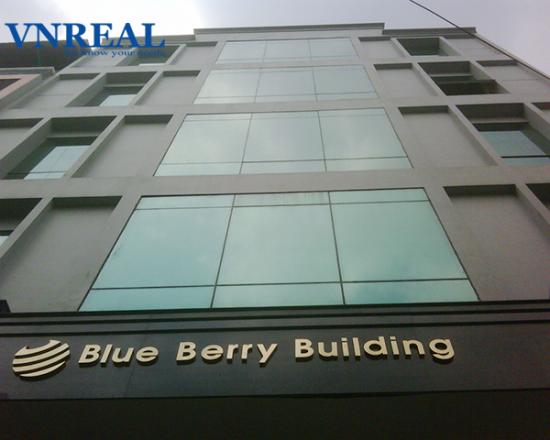 blue berry building   van phong cho thue quan tan binh
