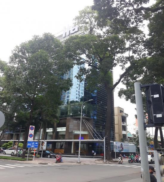 cho thue toa nha duong nguyen dinh chieu quan 3 2 ham 13 tang dtsd 5000m2