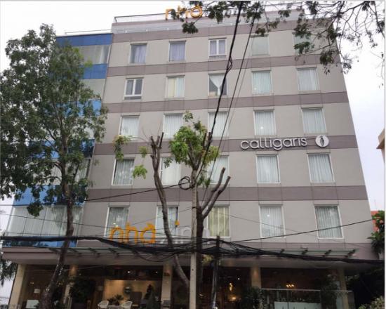 toa nha galleria nvh