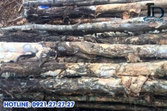 cac loai cu tram trong xay dung pho bien nhat hien nay