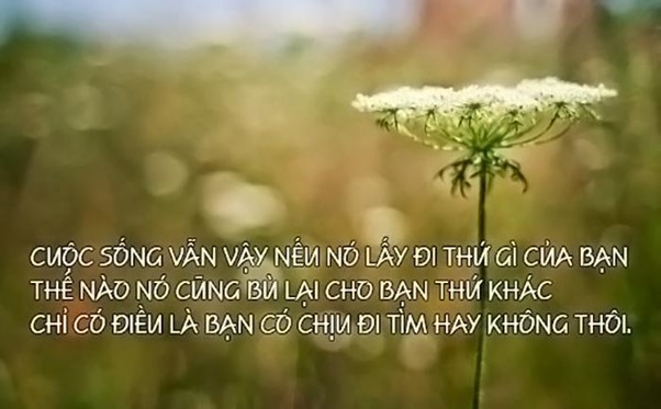 nhung cau cham ngon hay nhat moi thoi dai giup ban luon manh me