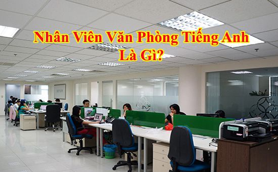 nhan vien van phong tieng anh la gi 