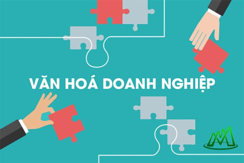 van hoa doanh nghiep la gi  tai sao phai co van hoa doanh nghiep 